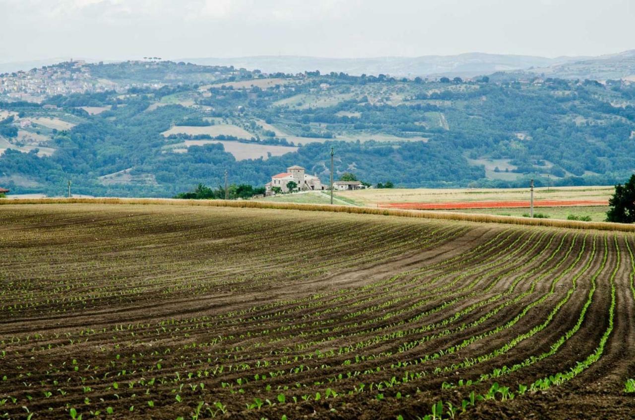 Country Relais La Torretta Baronale Guest House San Giorgio del Sannio Eksteriør bilde