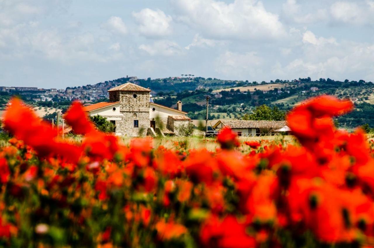 Country Relais La Torretta Baronale Guest House San Giorgio del Sannio Eksteriør bilde